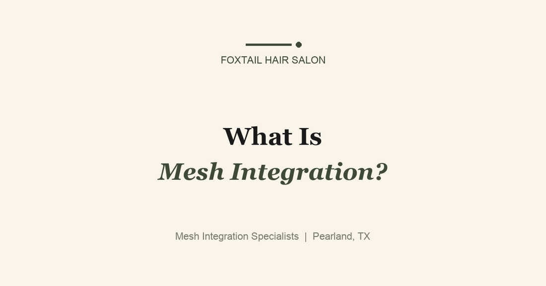 What Is Mesh Integration? A Complete Guide
